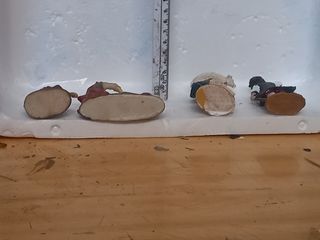 PASTORI PRESEPE RESINA