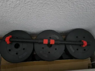 Mancuernas ajustables con discos