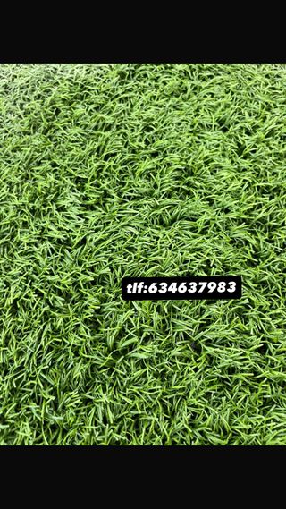 Cesped Artificial Reciclado Verde