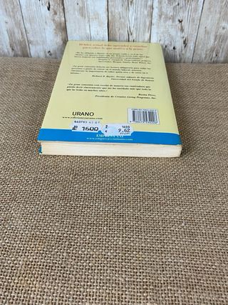 La gran conexión (Spanish Edition)