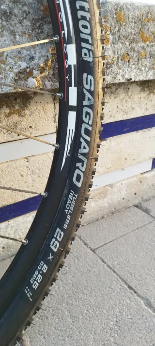 Bicicleta Wilier Triestina 101X XT