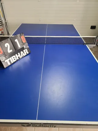 Mesa Ping Pong Profesional Butterfly