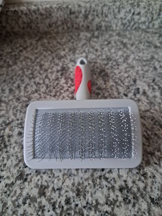 Spazzola e cartoncino per cani (2 articoli)