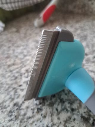 Spazzola e cartoncino per cani (2 articoli)