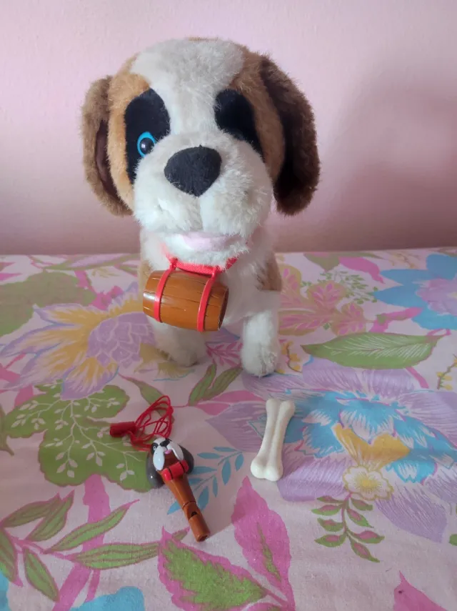 Perro Samby-San Bernardo