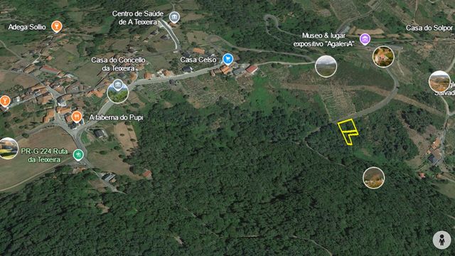 FINCA EN LOS CAÑONES DEL RÍO SIL - RIBEIRA SACRA