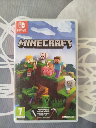 Minecraft Nintendo Switch