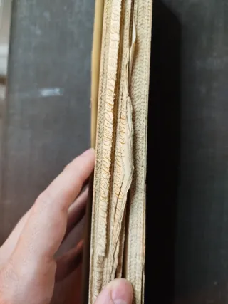 Libro Acciones Sociedad Minera Moncayo