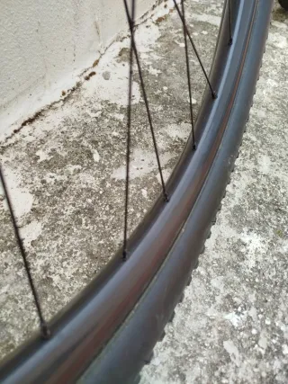 Llantas Carbono 29(venta pareja o individual)