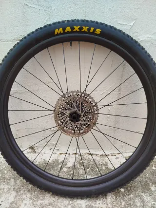 Llantas Carbono 29(venta pareja o individual)