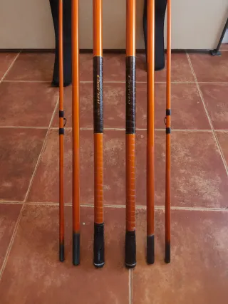 Pareja Cañas Daiwa Cast'IZM 33 - 425