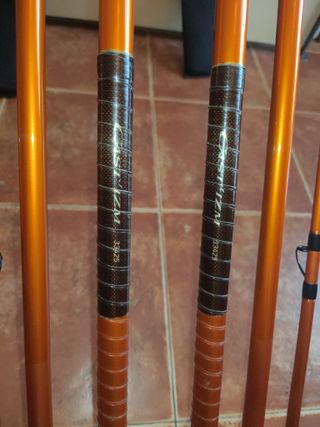 Pareja Cañas Daiwa Cast'IZM 33 - 425