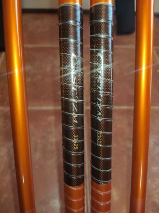 Pareja Cañas Daiwa Cast'IZM 33 - 425