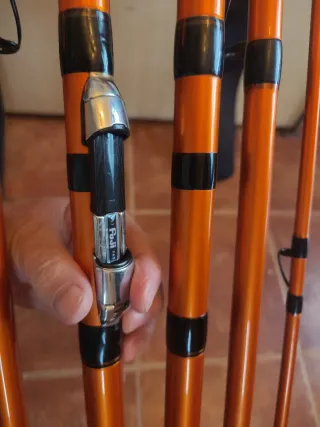 Pareja Cañas Daiwa Cast'IZM 33 - 425