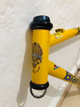 Cuadro Bianchi XC 211 Cromoly