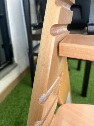 Trona evolutiva madera