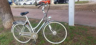 Bicicleta Gazelle Tour de France Clásica