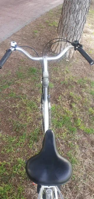 Bicicleta Gazelle Tour de France Clásica