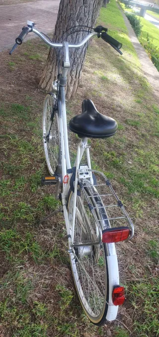 Bicicleta Gazelle Tour de France Clásica