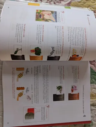 Libro Coloración Capilar.