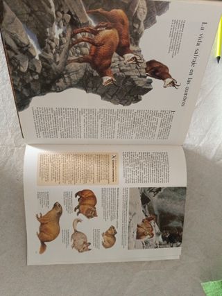 AL ENCUENTRO DE LA NATURALEZA. COMO EXPLORAR Y ...