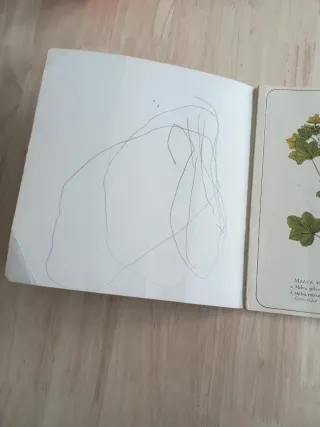 Las hierbas de la salud