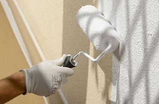 Pintor profesional económico