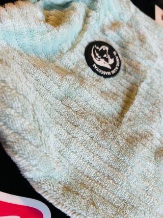 Abrigo para perro nuevo