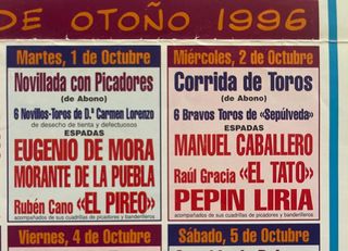 CARTEL DE LA FERIA DE OTOÑO 1996.