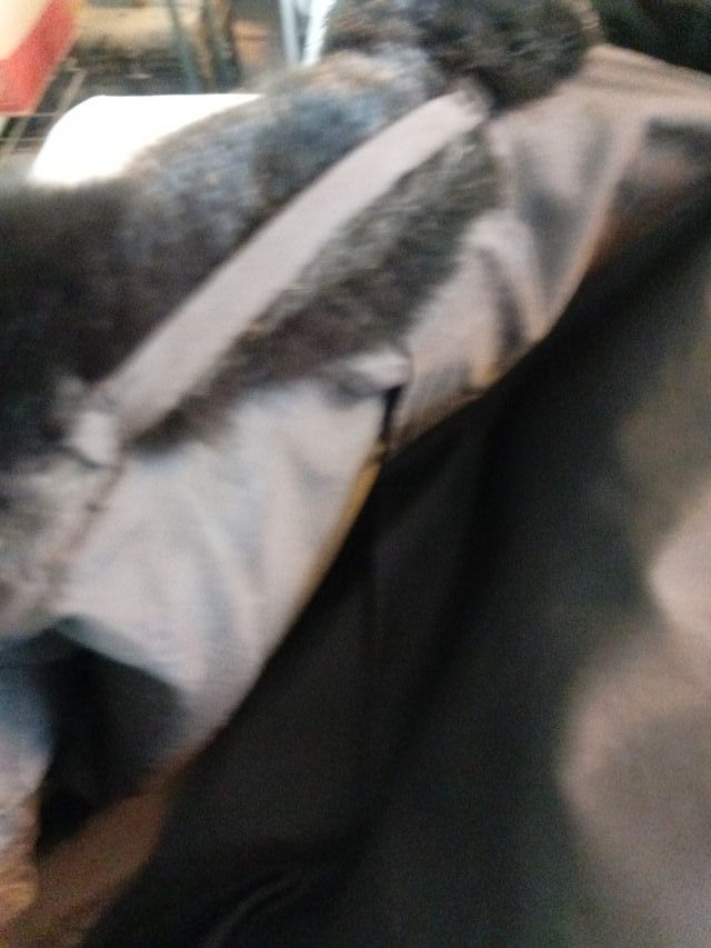 Pelliccia ecologica donna nera