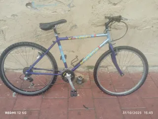 Bicicleta Montaña Morada y Plateada