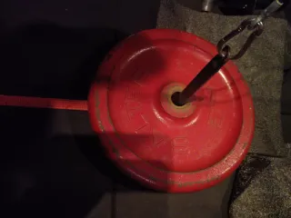 1 Disco de pesa Salter 25kg