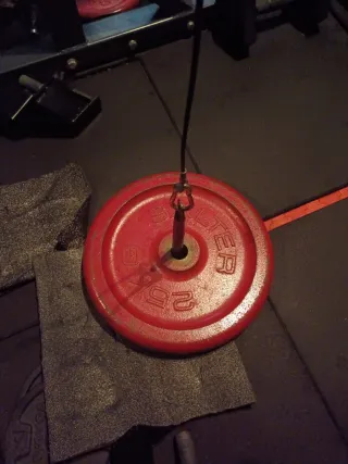 1 Disco de pesa Salter 25kg