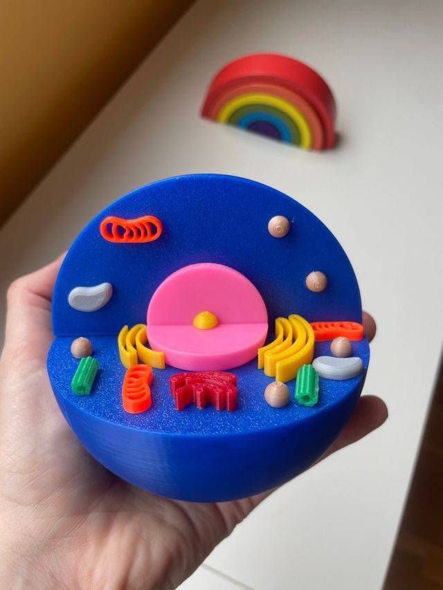 Modelos Célula Animal y Vegetal