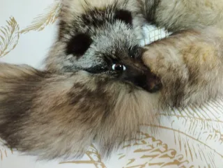 Cuello de piel de zorro