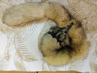 Cuello de piel de zorro