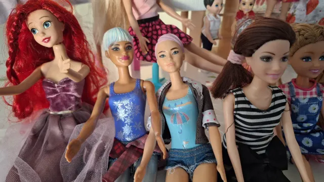 Lote Barbie y Accesorios