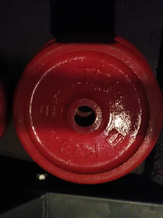 4Discos de pesas rojos salter 5 kg