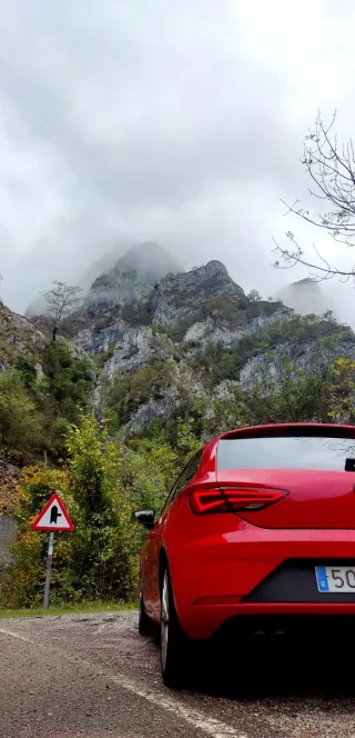 SEAT Leon 1.4 Fr Plus