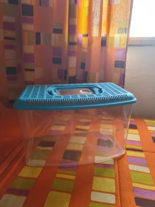 Acuario/Terrario Plástico Azul y Transparente