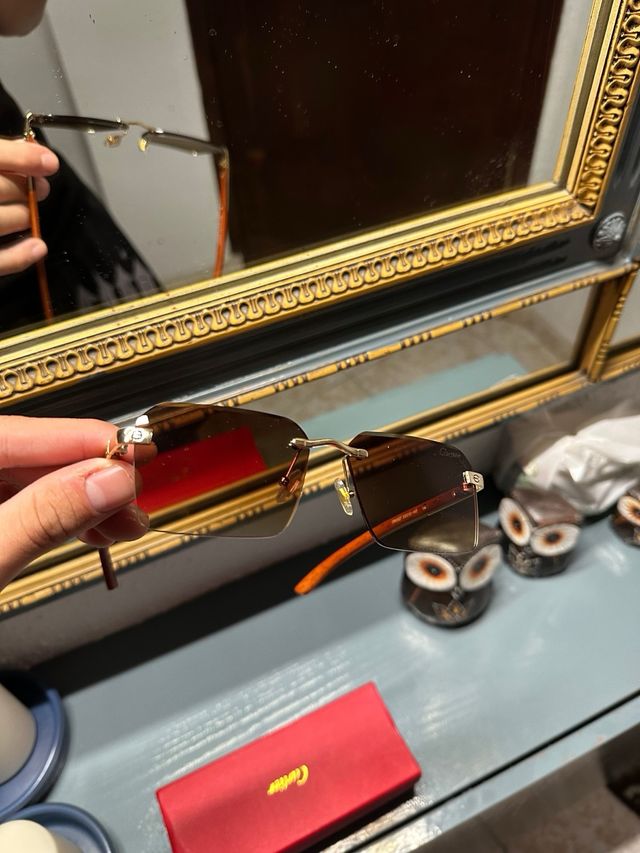 Gafas de sol marrones y rojas hermosas