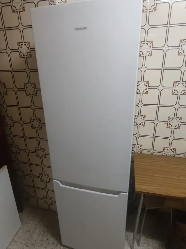 Frigorífico Cecotec Combi 250L