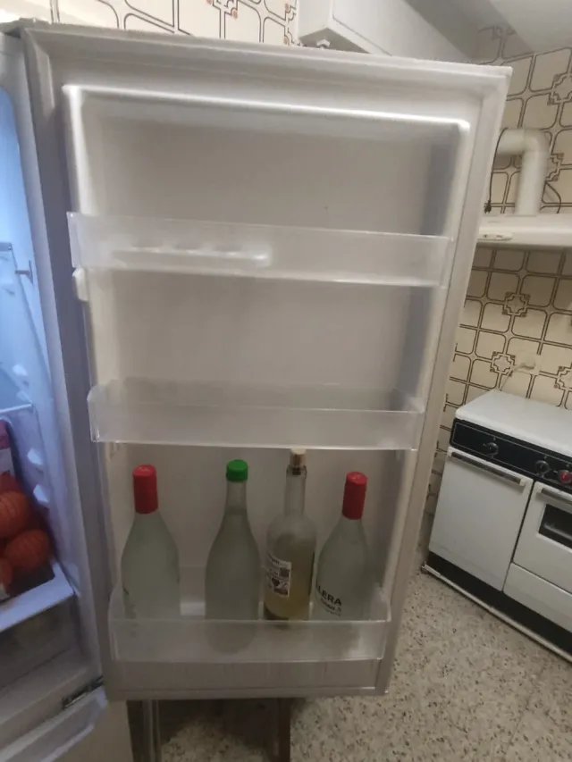 Frigorífico Cecotec Combi 250L