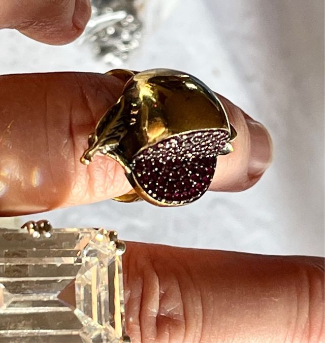 Anillo Antiguo Plata y Raíz de Rubíes