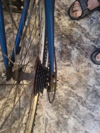 Bicicleta Paseo Mujer Azul