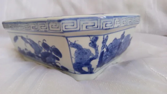 Maceta Bonsái Cerámica Azul y Blanca