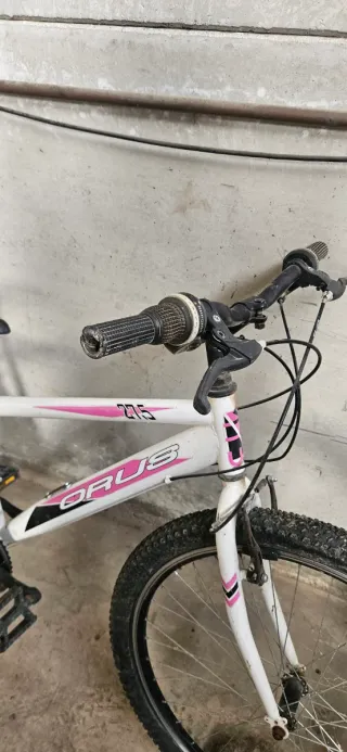 Bicicleta Orus