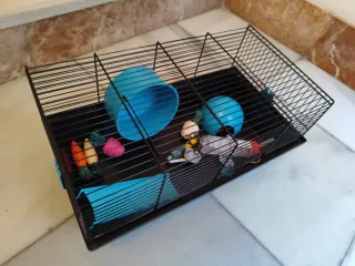 Jaula para hámster con accesorios