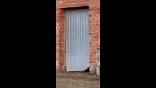 Puerta de garaje basculante