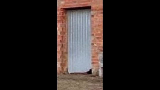 Puerta de garaje basculante